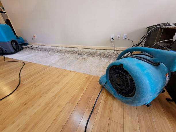 Professional Flood Damage Cleanup technician working in Dana, IA